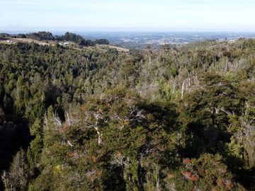 Campo en venta en Estación Río Frio de 40,6 Hectáreas, El Mañio