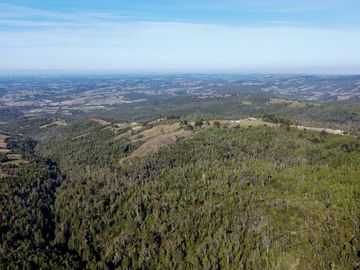 Campo en venta en Estación Río Frio de 40,6 Hectáreas, El Mañio