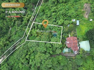 For Sale: 1,676 sqm Residential Lot in Beverly Hills Subdivision Antipolo