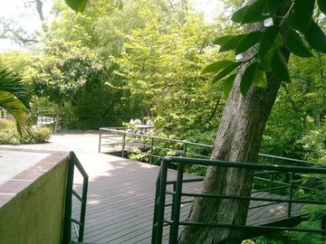 VENDO DEPARTAMENTO EN RESIDENCIAL QUINTA DEL BOSQUE EN CUERNAVACA, MORELOS.