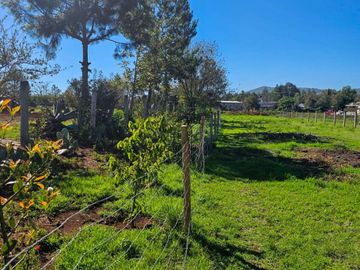 CASA CON GRAN TERRENO EN OMITLÁN EXCELENTE PARA CONSTRUIR CABAÑAS O TU RANCHO