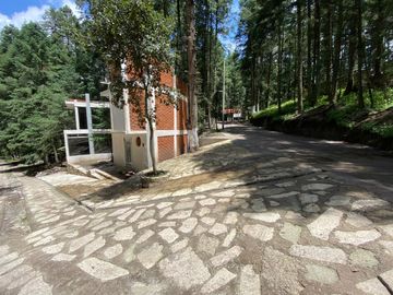 Preventa casa de campo: ¡Tu Refugio en el Corazón del Bosque!