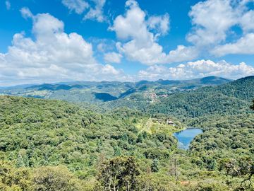 Preventa casa de campo: ¡Tu Refugio en el Corazón del Bosque!