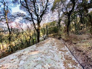 Preventa casa de campo: ¡Tu Refugio en el Corazón del Bosque!