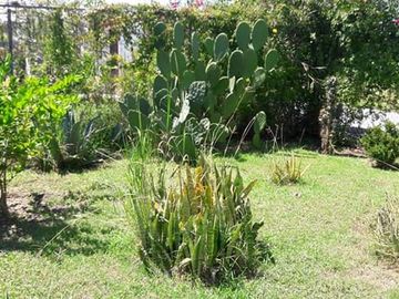 QUINTA CAMPESTRE EN LAS CAROLINAS CADEREYTE JIMENEZ