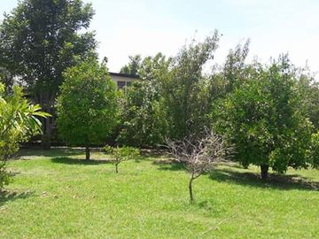 QUINTA CAMPESTRE EN LAS CAROLINAS CADEREYTE JIMENEZ
