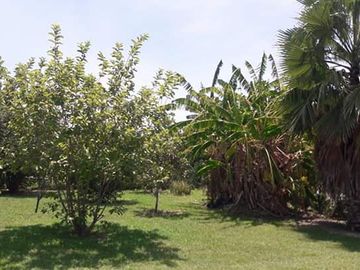 QUINTA CAMPESTRE EN LAS CAROLINAS CADEREYTE JIMENEZ