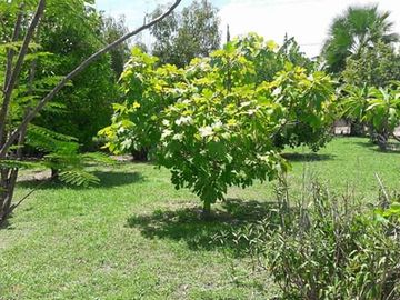 QUINTA CAMPESTRE EN LAS CAROLINAS CADEREYTE JIMENEZ