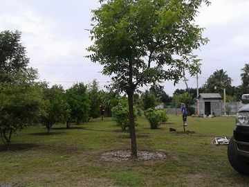 QUINTA CAMPESTRE EN LAS CAROLINAS CADEREYTE JIMENEZ