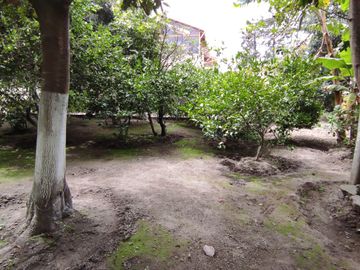 MITAD DEL MUNDO VENDO HERMOSA QUINTA CON ÁRBOLES FRUTALES
