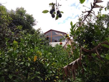 MITAD DEL MUNDO VENDO HERMOSA QUINTA CON ÁRBOLES FRUTALES