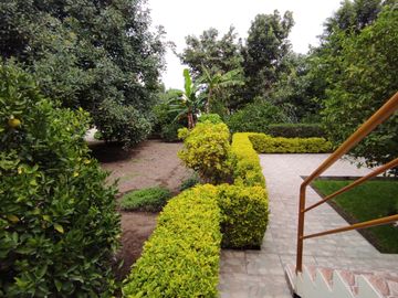 MITAD DEL MUNDO VENDO HERMOSA QUINTA CON ÁRBOLES FRUTALES