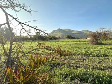 Sitio Av.El Valle, Algarrobos, Chicureo Oriente