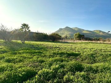 Sitio Av.El Valle, Algarrobos, Chicureo Oriente