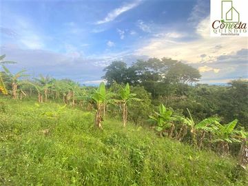 Finca en Venta – Filandia Quindío