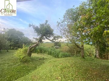 Finca en Venta – Filandia Quindío