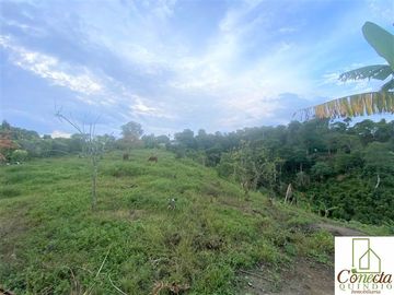 Finca en Venta – Filandia Quindío