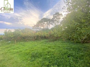 Finca en Venta – Filandia Quindío