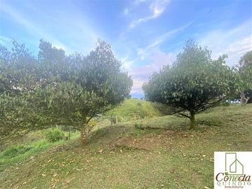 Finca en Venta – Filandia Quindío