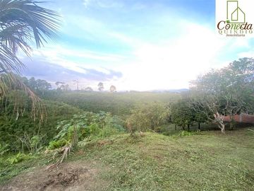Finca en Venta – Filandia Quindío