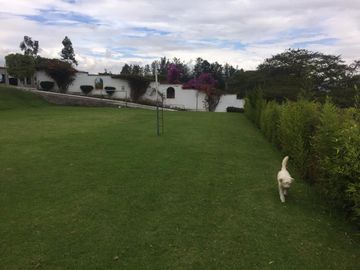 QUINTA PUEMBO VIA ARRAYANES APTA PARA PROYECTO