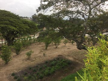 QUINTA PUEMBO VIA ARRAYANES APTA PARA PROYECTO