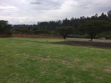 QUINTA PUEMBO VIA ARRAYANES APTA PARA PROYECTO
