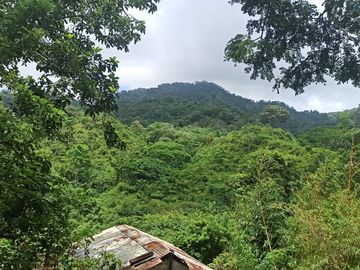 Se vende finca de 43 hectáreas con frente de rio