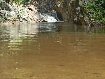 Se vende finca de 43 hectáreas con frente de rio