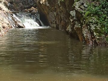 Se vende finca de 43 hectáreas con frente de rio