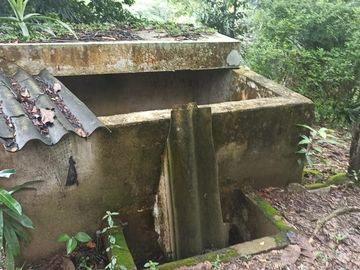 Se vende finca de 43 hectáreas con frente de rio