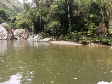 Se vende finca de 43 hectáreas con frente de rio