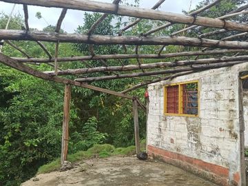 Se vende finca de 43 hectáreas con frente de rio