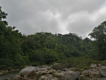 Se vende finca de 43 hectáreas con frente de rio