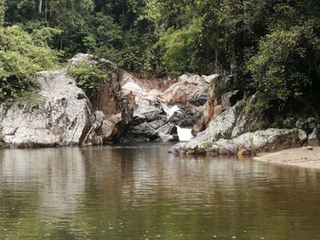 Se vende finca de 43 hectáreas con frente de rio