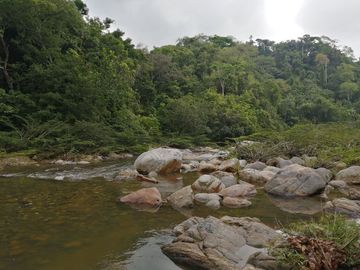 Se vende finca de 43 hectáreas con frente de rio