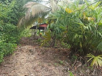 Se vende finca de 43 hectáreas con frente de rio