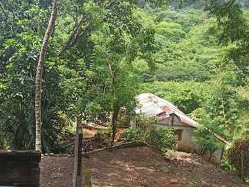 Se vende finca de 43 hectáreas con frente de rio
