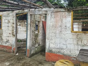 Se vende finca de 43 hectáreas con frente de rio