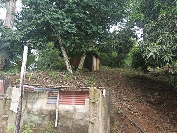 Se vende finca de 43 hectáreas con frente de rio