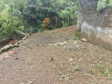 Se vende finca de 43 hectáreas con frente de rio