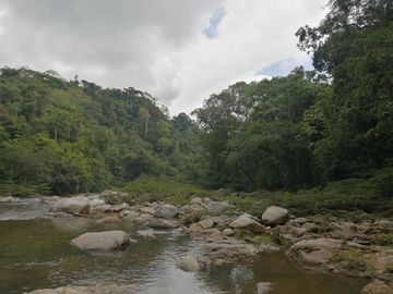 Se vende finca de 43 hectáreas con frente de rio
