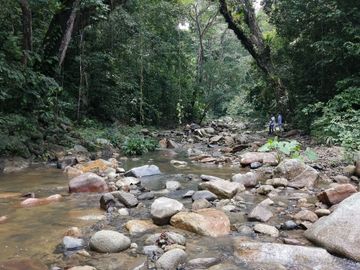 Se vende finca de 43 hectáreas con frente de rio