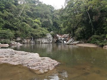 Se vende finca de 43 hectáreas con frente de rio