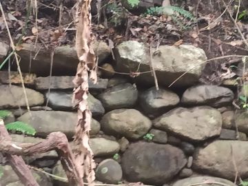 Se vende finca de 43 hectáreas con frente de rio