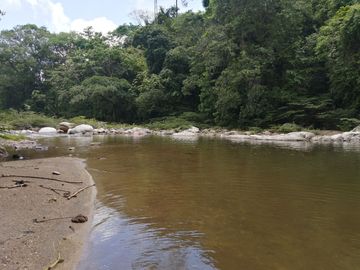 Se vende finca de 43 hectáreas con frente de rio