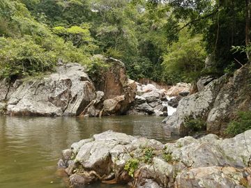 Se vende finca de 43 hectáreas con frente de rio