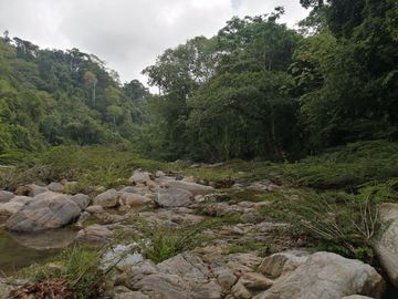 Se vende finca de 43 hectáreas con frente de rio