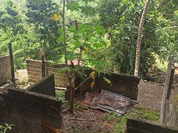 Se vende finca de 43 hectáreas con frente de rio