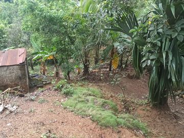Se vende finca de 43 hectáreas con frente de rio